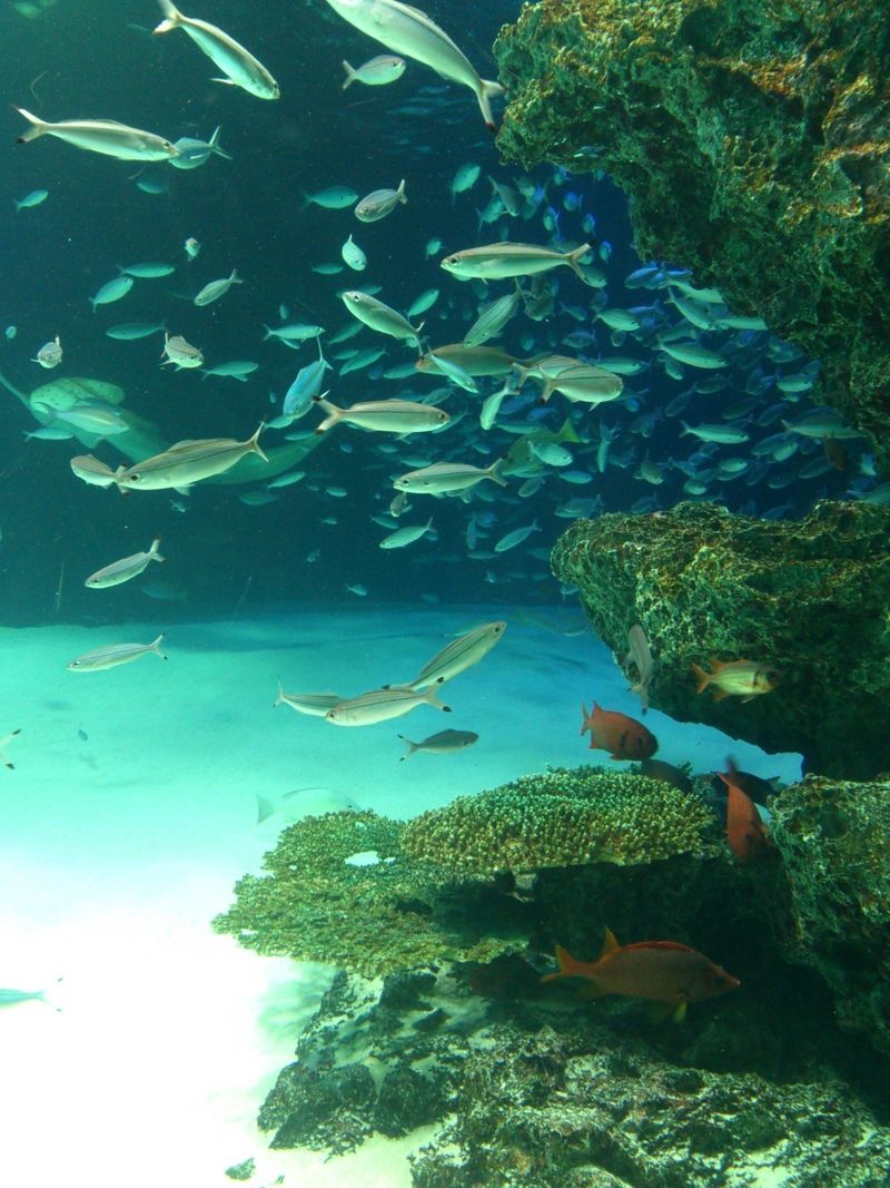 水族館