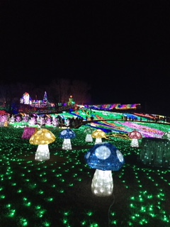 IMG_5369 IMG_5369